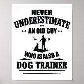 Tricks Dog Training Dogs Dog Trainer Dog School Poster (Voorkant)