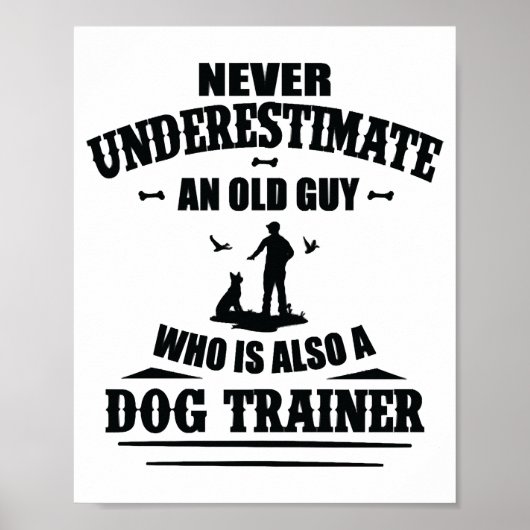 Tricks Dog Training Dogs Dog Trainer Dog School Poster (Voorkant)
