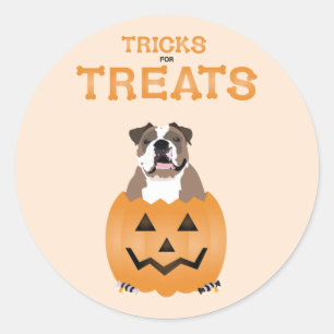 Tricks for Trets English Bulldog Oranje Ronde Sticker