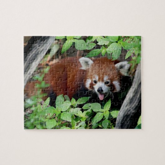 Tricksy Red Panda Legpuzzel (Horizontaal)