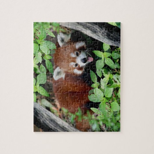 Tricksy Red Panda Legpuzzel (Verticaal)