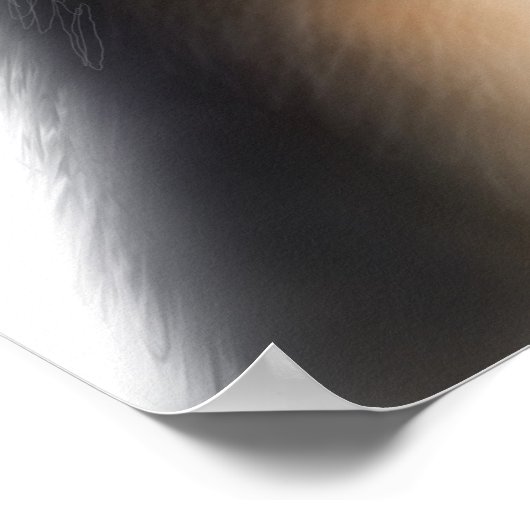 Tricolor Australian Shepherd Poster (Hoek)