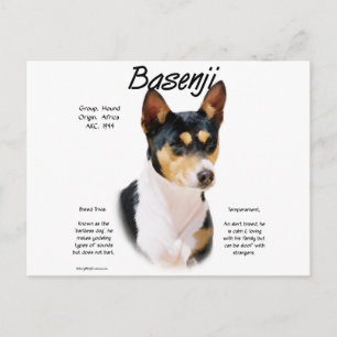 Tricolor Basenji Geschiedenis, Alles over Basenji' Briefkaart