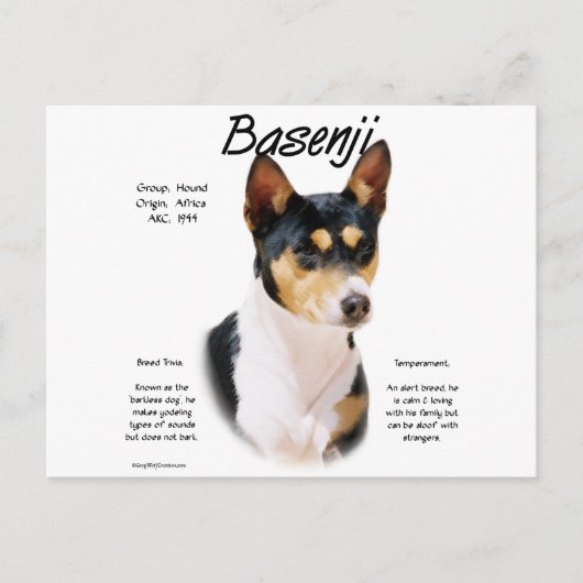Tricolor Basenji Geschiedenis, Alles over Basenji' Briefkaart (Voorkant)