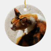 Tricolor Cat Ornament (Achterkant)