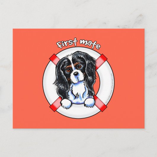 Tricolor Cavalier CKCS First Mate Briefkaart (Voorkant)