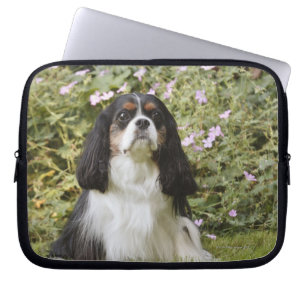 Tricolor Cavalier King Charles Spaniel op gras Laptop Sleeve