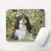 Tricolor Cavalier King Charles Spaniel op gras Muismat (Met muis)