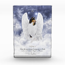 Tricolor Collie Angel & Cherubim - Pet Memorial Fotoblokken