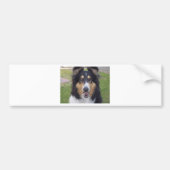 Tricolor collie bumpersticker (Voorkant)