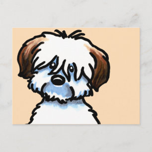 Tricolor Coton de Tulear Face Briefkaart