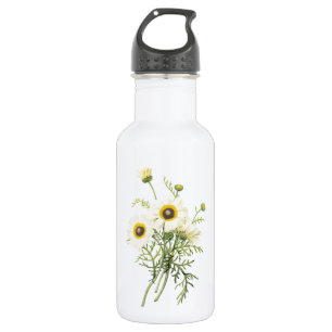 tricolor daisy (Chrysanthemum carinatum) van Redou Waterfles