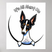 Tricolor Rat Terrier IAAM Poster (Voorkant)
