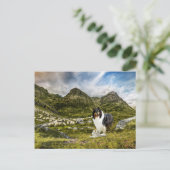Tricolor Rough Collie - Collectibel Briefkaart (Staand voorkant)
