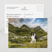 Tricolor Rough Collie - Collectibel Briefkaart (Voorkant / Achterkant)