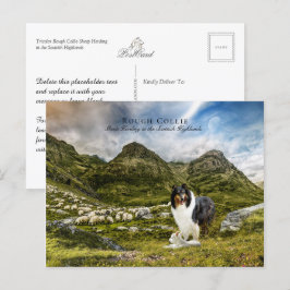 Tricolor Rough Collie - Collectibel Briefkaart