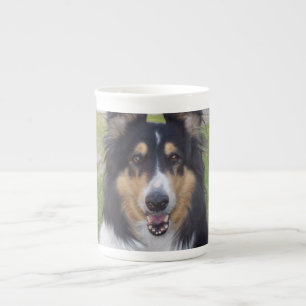 Tricolor ruwe collie.png porselein kop