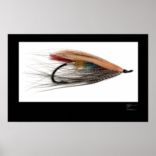 Tricolor Salmon Fly Poster (Voorkant)
