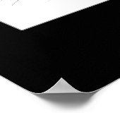 Tricolor Salmon Fly Poster (Hoek)