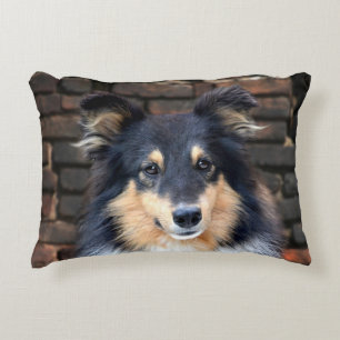 Tricolor Sheltie Accent Kussen