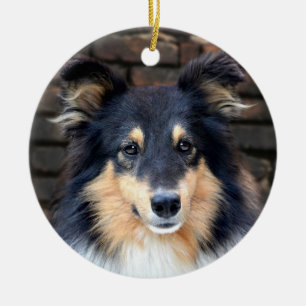 Tricolor Sheltie Keramisch Ornament