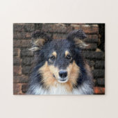 Tricolor Sheltie Legpuzzel (Horizontaal)