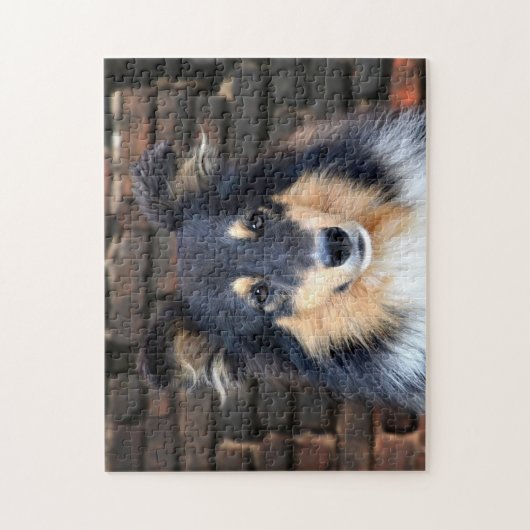 Tricolor Sheltie Legpuzzel (Verticaal)