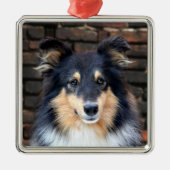 Tricolor Sheltie Metalen Ornament (Voorkant)