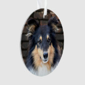 Tricolor Sheltie Ornament (voorkant)