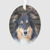 Tricolor Sheltie Ornament (voorkant)