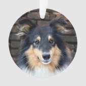 Tricolor Sheltie Ornament (voorkant)