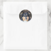 Tricolor Sheltie Ronde Sticker (Tas)