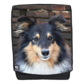 Tricolor Sheltie Rugtassen (Voorkant)