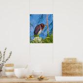 Tricolored Heron in een boom Poster (Keuken)