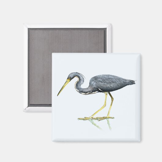 Tricolored Heron Magnet (Voorkant / Achterkant)