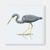 Tricolored Heron Magnet (Voorkant)