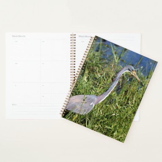 Tricolored Heron Planner (Display)