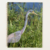 Tricolored Heron Planner (Voorkant)