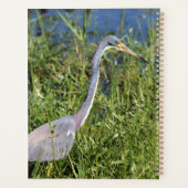 Tricolored Heron Planner (Achterkant)