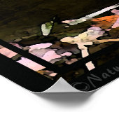 Tricolored Heron Poster -40x60 - andere maten ook (Hoek)