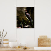 Tricolored Heron Print -20x24 - andere formaten oo (Keuken)