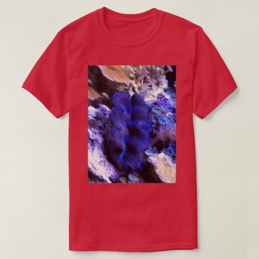 Tridacna crocea clam t-shirt (Design voorkant)