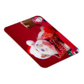 Trident de Kat Kerstmagneet Magneet (Rechterzijde)