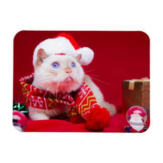 Trident de Kat Kerstmagneet Magneet