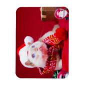 Trident de Kat Kerstmagneet Magneet (Verticaal)