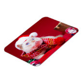 Trident de Kat Kerstmagneet Magneet (Linkerzijde)