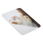 Trident de Kat Magneet 02 (Rechterzijde)