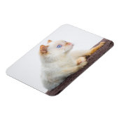 Trident de Kat Magneet 02 (Linkerzijde)