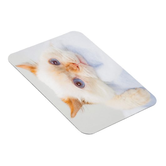 Trident de Kat Magneet 03 (Rechterzijde)