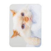 Trident de Kat Magneet 03 (Verticaal)